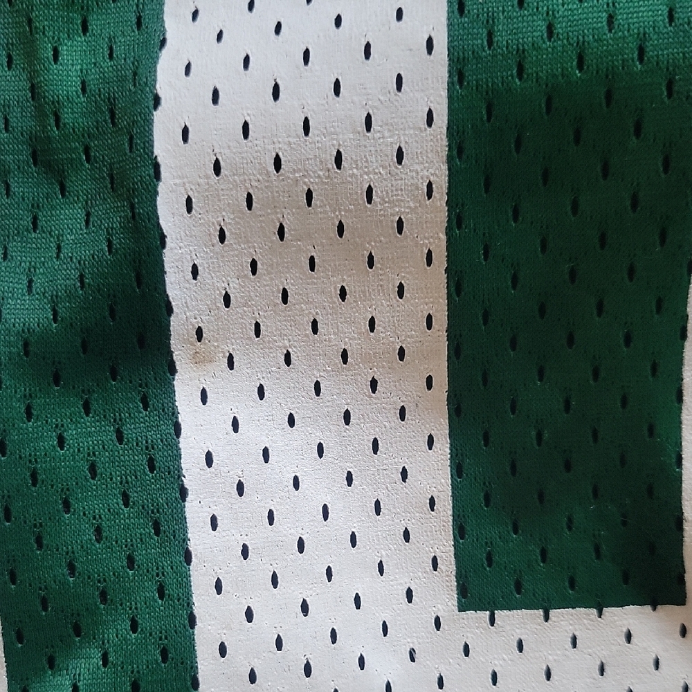 ProFANity Green BAY jersey Tote Purse With Brett Favre Pin - Picture 6 of 7